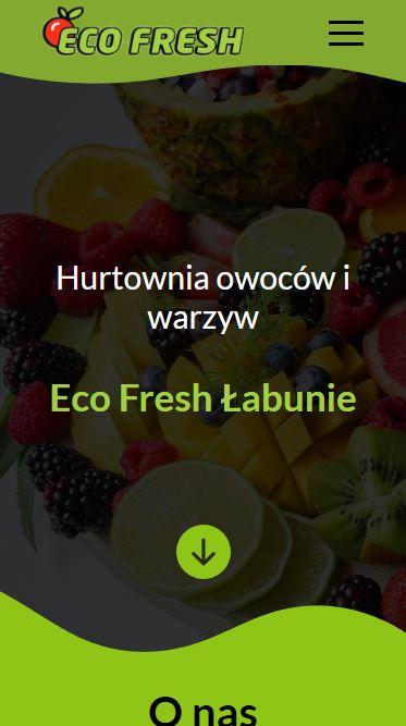 Eco fresh Home page snippet